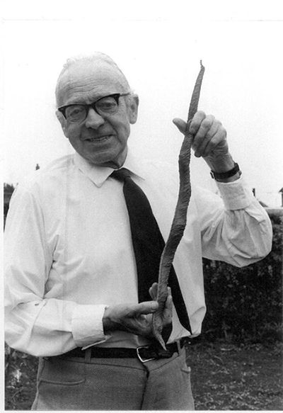 Fred with his prize winning runner bean